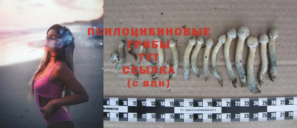 МДПВ Лабытнанги