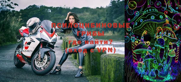 ПСИЛОЦИБИНОВЫЕ ГРИБЫ Ладушкин