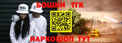 индика Гусь-Хрустальный