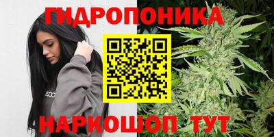 индика Гусь-Хрустальный