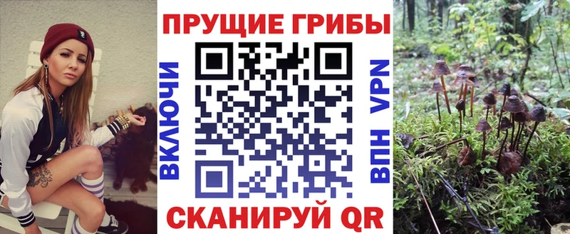 Галлюциногенные грибы Psilocybe  Касимов 