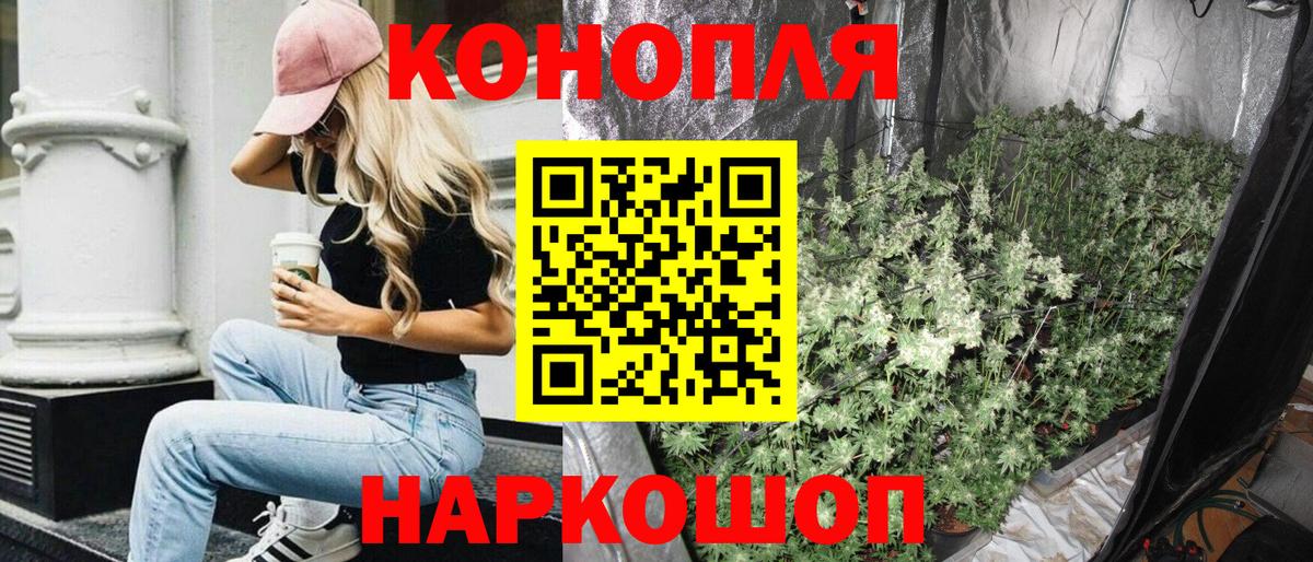 Шишки марихуана конопля  Марихуана гибрид  Вход с VPN  Касимов  Каннабис план  Шишки марихуана индика 